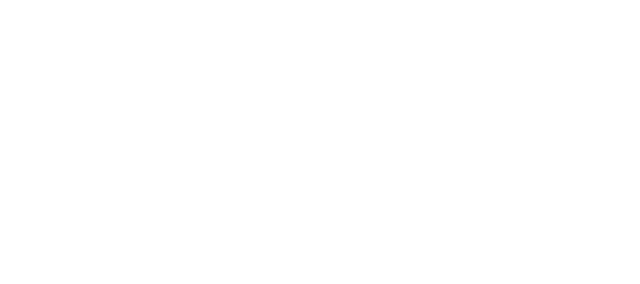 Flex logo
